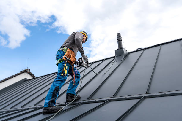 Best Steel Roofing  in Pierce City, MO