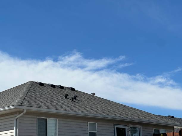 Best Sheet Metal Roofing  in Pierce City, MO